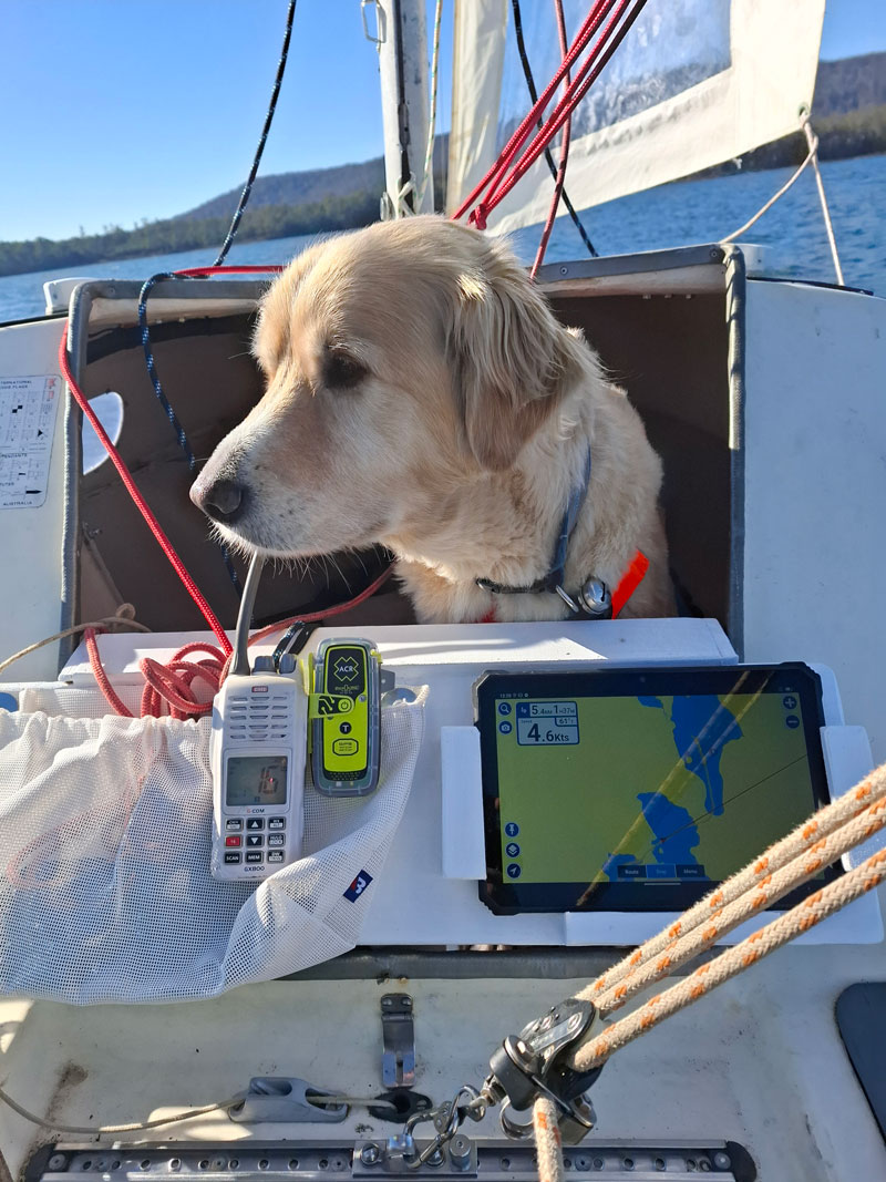 Dusty at the helm